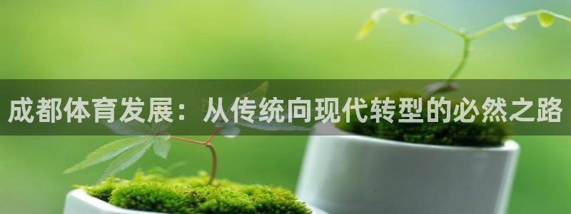 意昂体育4招商电话号码查询：成都体育发展：从传统向现