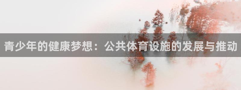意昂体育4平台注册：青少年的健康梦想：公共体育设施的