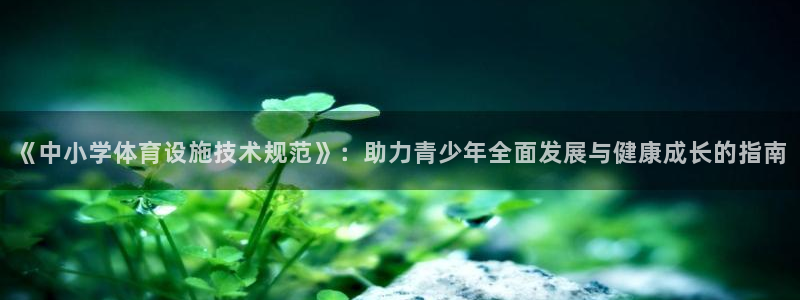 意昂体育4是干嘛的公司：《中小学体育设施技术规范》：