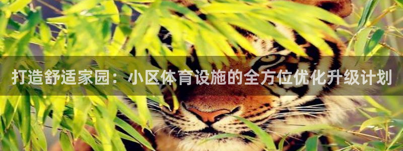 德国意昂4集团：打造舒适家园：小区体育设施的全方位优