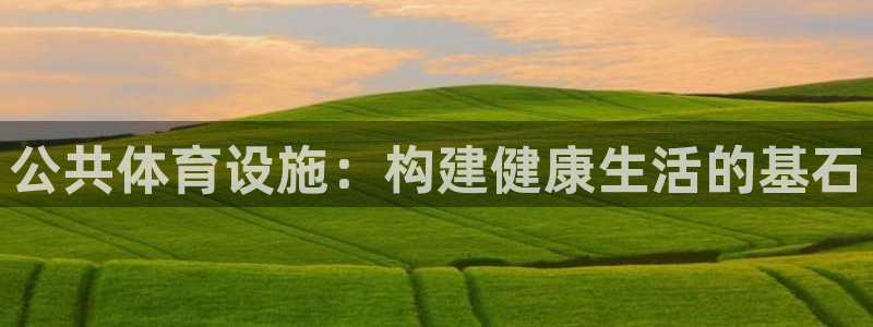 意昂4神州：公共体育设施：构建健康生活的基石