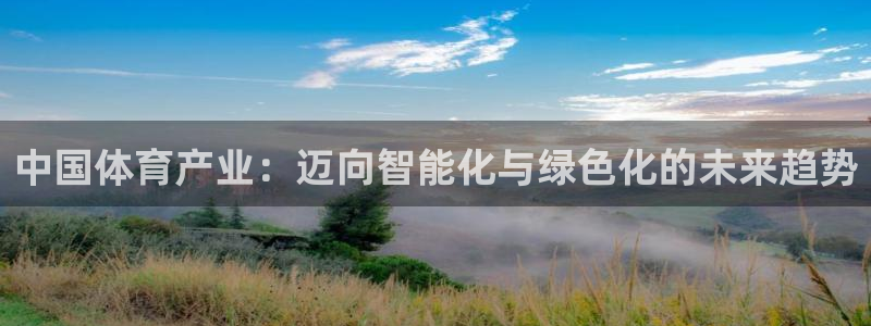 意昂体育4招商电话号码是多少：中国体育产业：迈向智能
