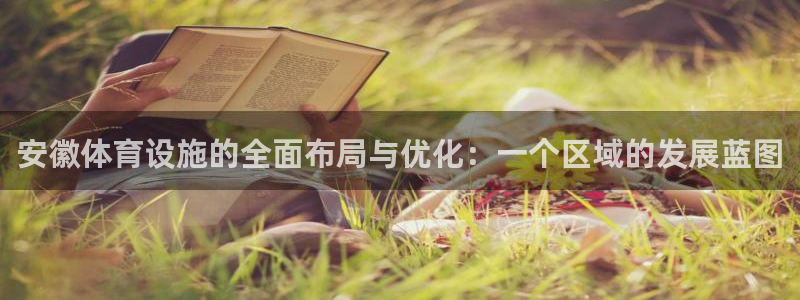 意昂4集团：安徽体育设施的全面布局与优化：一个区域的