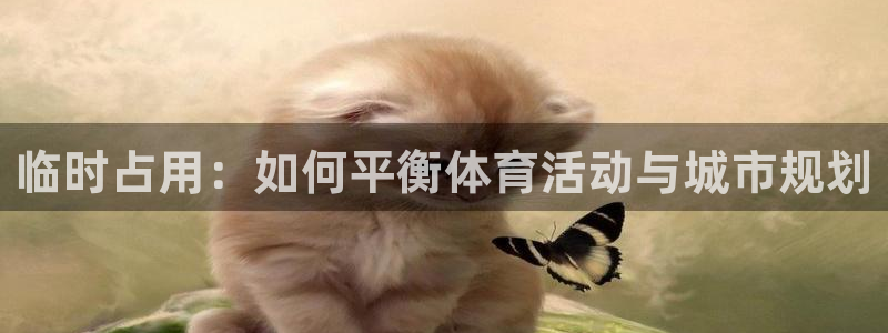 意昂4官方：临时占用：如何平衡体育活动与城市规划