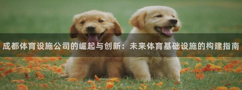 意昂体育4招商电话：成都体育设施公司的崛起与创新：未
