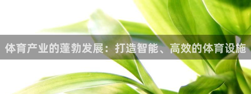 意昂4集团官网首页网址：体育产业的蓬勃发展：打造智能
