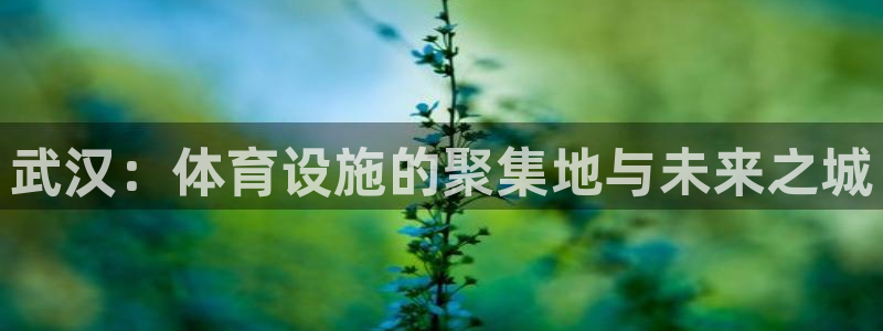 意昂体育4平台是正规平台吗安全吗：武汉：体育设施的聚集地与未