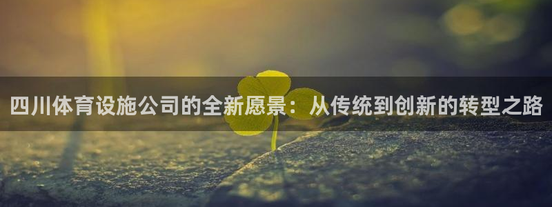 意昂体育4平台是正规平台吗知乎：四川体育设施公司的全
