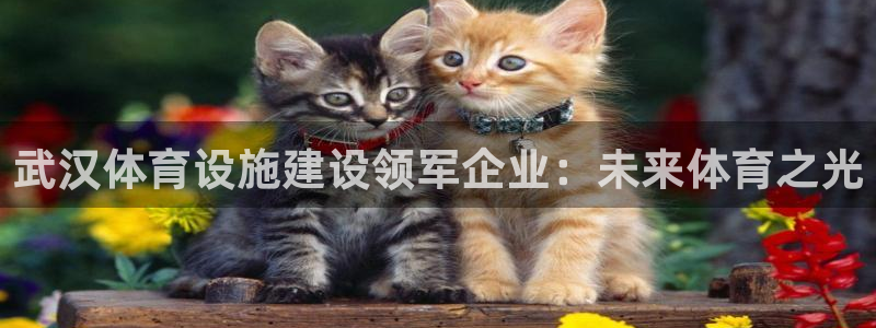 意昂4娱乐40996：武汉体育设施建设领军企业：未来