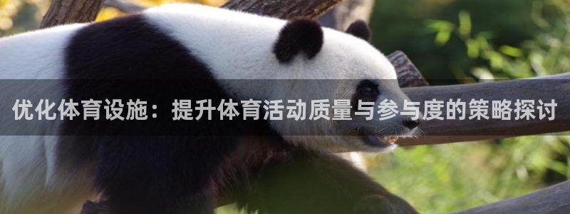 意昂体育4平台假的吗是真的吗吗：优化体育设施：提升体
