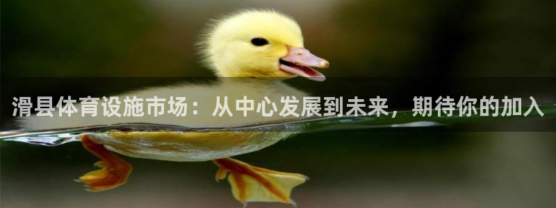 意昂体育4平台是正规平台吗：滑县体育设施市场：从中心