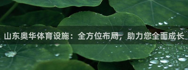 意昂4娱乐平台：山东奥华体育设施：全方位布局，助力您全面成长