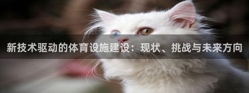 意昂体育4招商电话地址：新技术驱动的体育设施建设：现