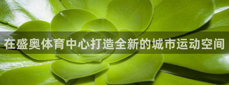德国意昂4集团：在盛奥体育中心打造全新的城市运动空间