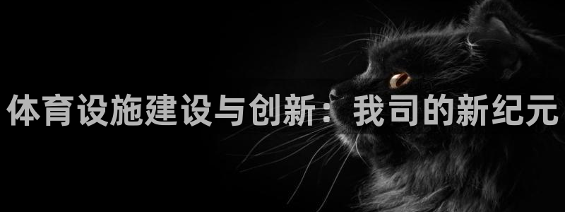 意昂体育4招商电话号码是多少号：体育设施建设与创新：我司的新 