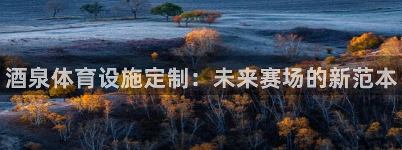 意昂体育4：酒泉体育设施定制：未来赛场的新范本