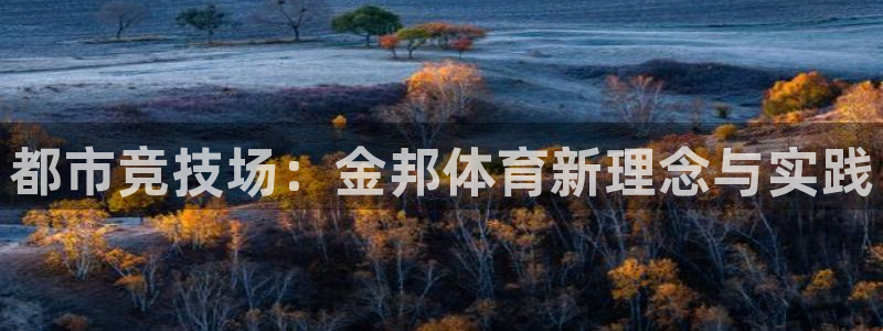 意昂4娱乐下载：都市竞技场：金邦体育新理念与实践