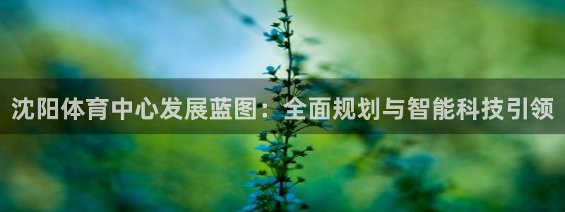 意昂集团官网：沈阳体育中心发展蓝图：全面规划与智能科