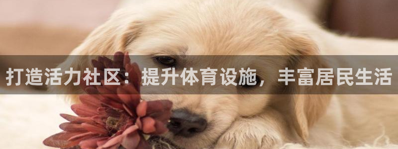 意昂体育4软件：打造活力社区：提升体育设施，丰富居民
