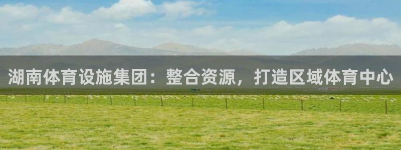 意昂体育4娱乐：湖南体育设施集团：整合资源，打造区域体育中心