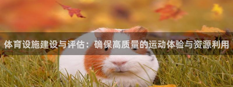 意昂4神州：体育设施建设与评估：确保高质量的运动体验