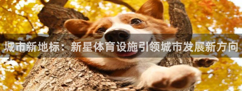 意昂4娱乐首页网站大全：城市新地标：新星体育设施引领