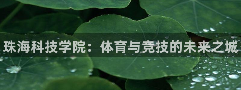 意昂4五金厂：珠海科技学院：体育与竞技的未来之城