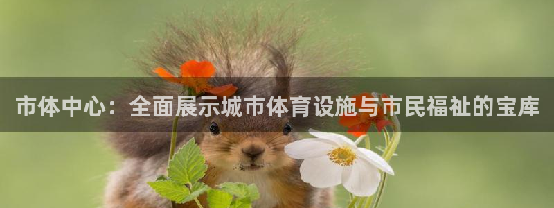 意昂4娱乐平台：市体中心：全面展示城市体育设施与市民