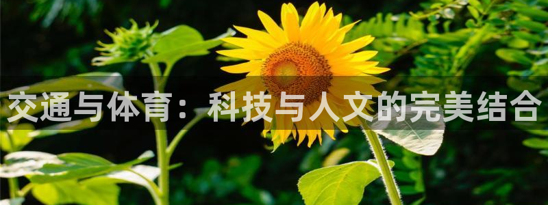 意昂4娱乐：交通与体育：科技与人文的完美结合