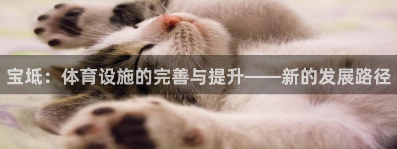 意昂4娱乐下载：宝坻：体育设施的完善与提升——新的发
