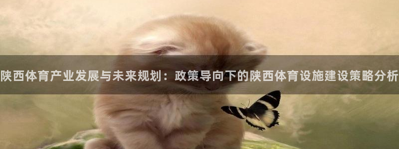 意昂4官方：陕西体育产业发展与未来规划：政策导向下的