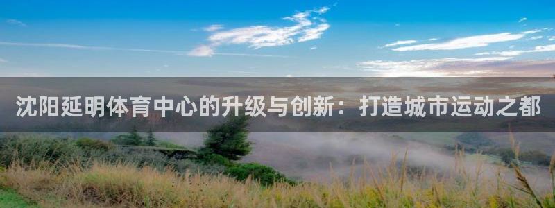 意昂体育4平台是正规平台吗知乎：沈阳延明体育中心的升级与创新