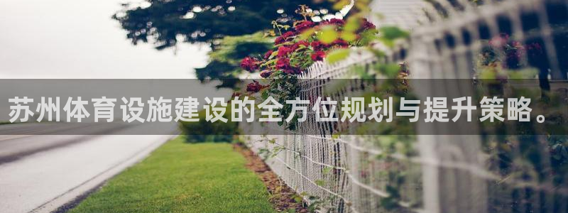 意昂体育4软件：苏州体育设施建设的全方位规划与提升策略。