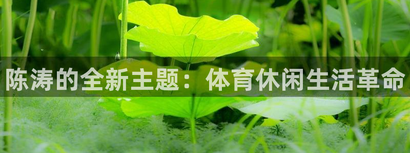 意昂体育4招商电话是多少：陈涛的全新主题：体育休闲生