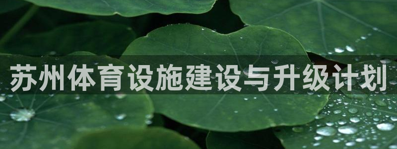 意昂4娱乐40996：苏州体育设施建设与升级计划