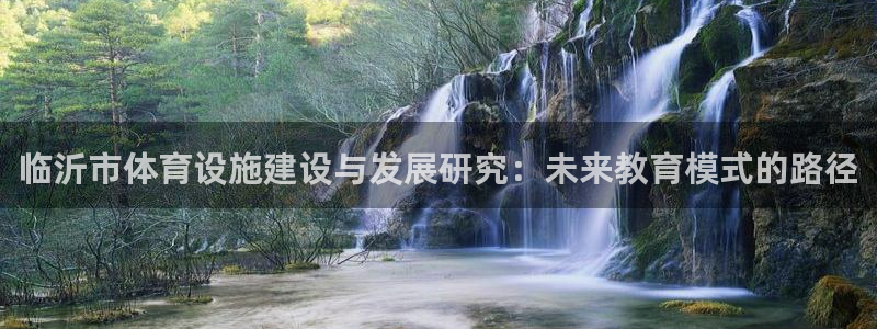 意昂4集团logo：临沂市体育设施建设与发展研究：未来教育模