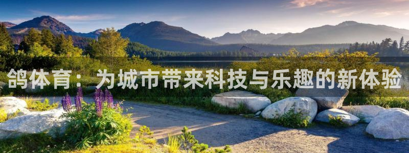 意昂体育4开户：鸽体育：为城市带来科技与乐趣的新体验
