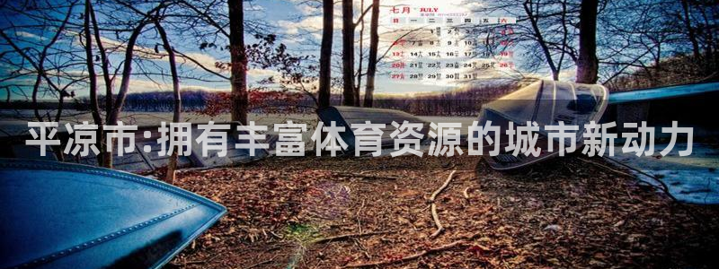 海南意昂体育4发展怎么样：平凉市:拥有丰富体育资源的城市新动