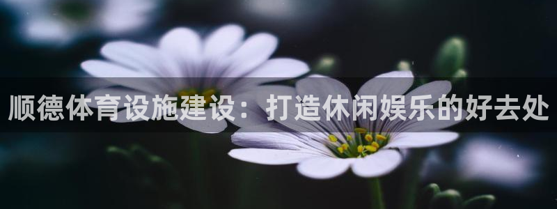 意昂4娱乐是那个系列的台子：顺德体育设施建设：打造休