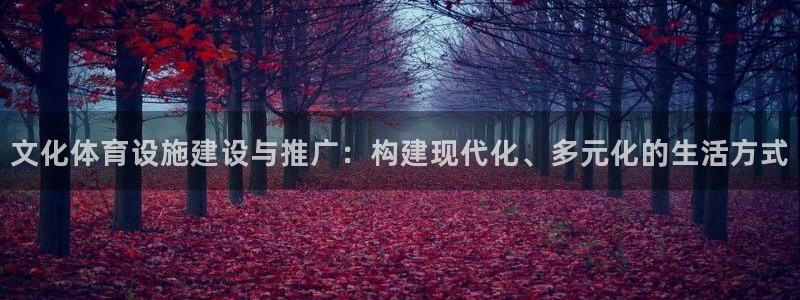意昂4新能源：文化体育设施建设与推广：构建现代化、多元化的生