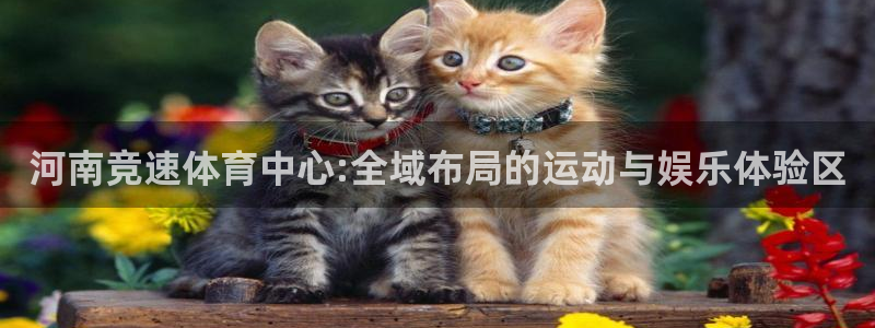 意昂体育4平台是正规平台吗知乎：河南竞速体育中心:全域布局的