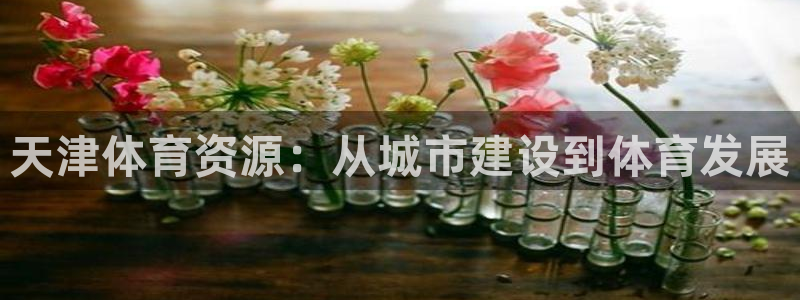 意昂体育4招商电话号码查询：天津体育资源：从城市建设到体育发 