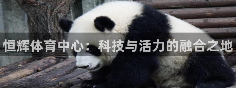 意昂体育4招商电话号码：恒辉体育中心：科技与活力的融