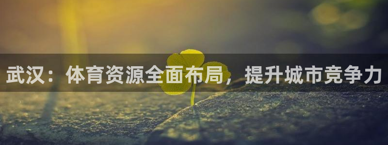 意昂体育4招商电话地址是多少：武汉：体育资源全面布局
