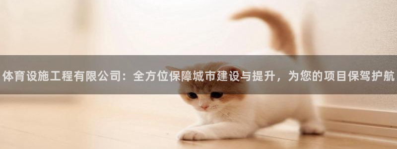 意昂4集团E.ON：体育设施工程有限公司：全方位保障