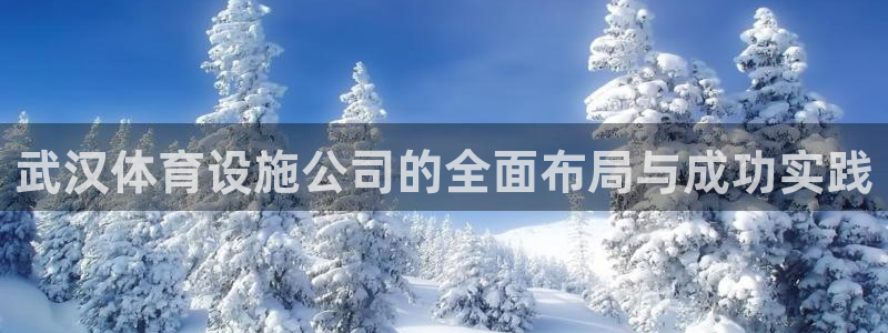 意昂体育4平台假的吗是真的吗：武汉体育设施公司的全面