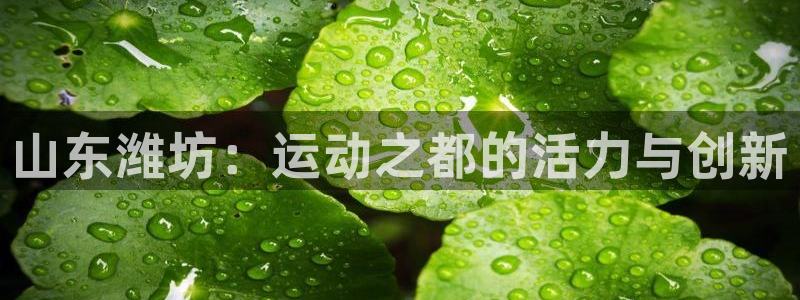 意昂体育4招商电话号码是多少号：山东潍坊：运动之都的