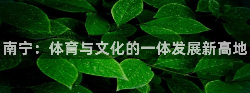 意昂体育4：南宁：体育与文化的一体发展新高地