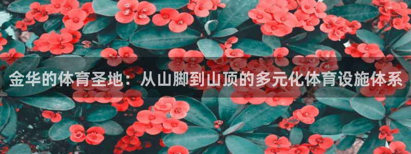 意昂4官方：金华的体育圣地：从山脚到山顶的多元化体育