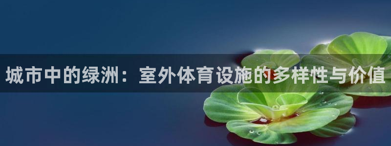 意昂体育4招商电话地址：城市中的绿洲：室外体育设施的